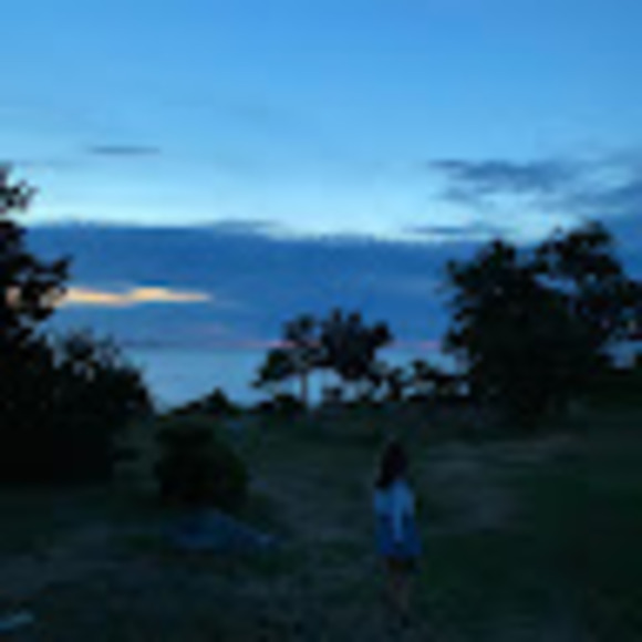 Meet your Posher, Sophia - Picture 1 of 1